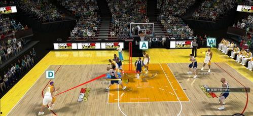 成人跳球原理视频大全集,揭秘运动与技巧的完美融合