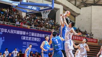 成人跳球原理视频大全集,揭秘运动与技巧的完美融合