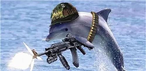 鲟鱼进化成人类视频