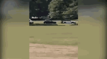 成人公园拍照儿童视频,成人公园里的儿童摄影奇遇