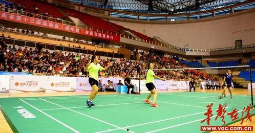 成人羽毛球比赛视频,激情四溢的成人对决瞬间