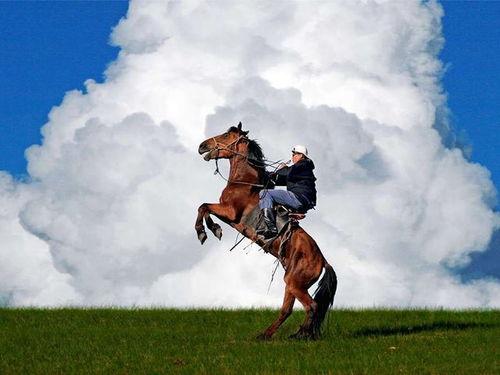 成人水下骑马视频教程,跟随视频教程轻松驾驭海洋