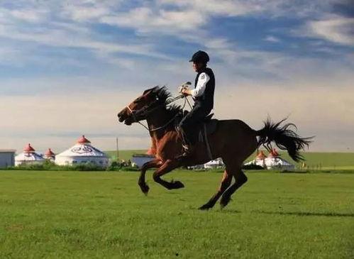 成人水下骑马视频教程,跟随视频教程轻松驾驭海洋