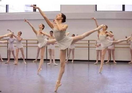 舞蹈成人春颂视频大全  第2张