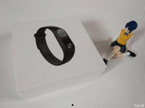 成人手环开箱图解视频,带你领略成人智能手环的科技魅力  第2张