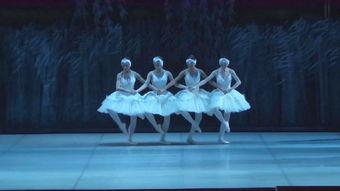 简单成人小天鹅舞蹈视频,成人舞蹈魅力绽放