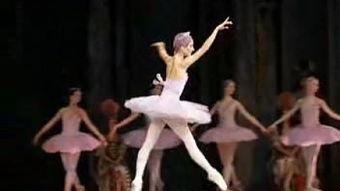 简单成人小天鹅舞蹈视频,成人舞蹈魅力绽放  第2张