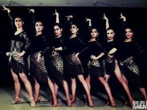 成人拉丁舞入门教学视频,跟随教学视频轻松起步