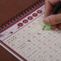 草书字帖 成人练字视频,领略书法之美，提升书写技艺